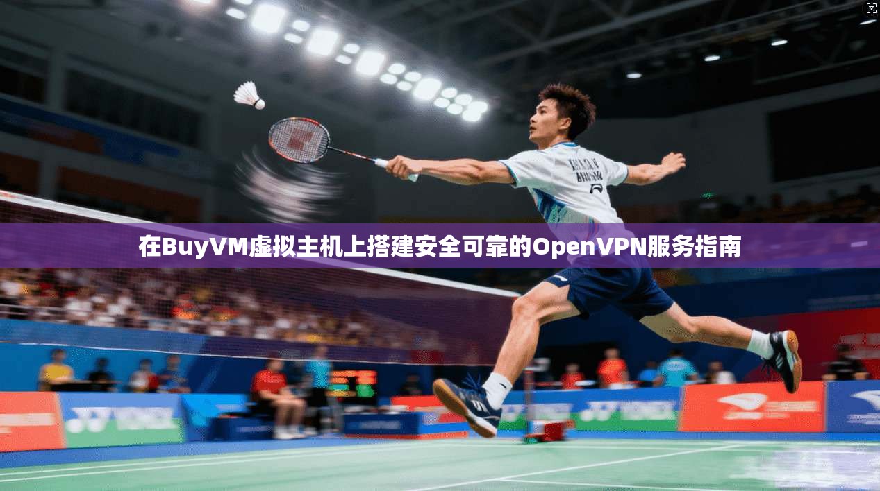 在BuyVM虚拟主机上搭建安全可靠的OpenVPN服务指南 第1张 在BuyVM虚拟主机上搭建安全可靠的OpenVPN服务指南 第1张