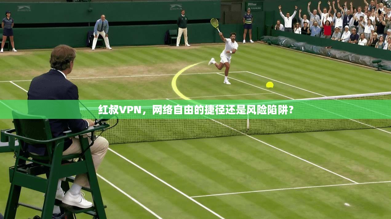 红叔VPN，网络自由的捷径还是风险陷阱？  第1张