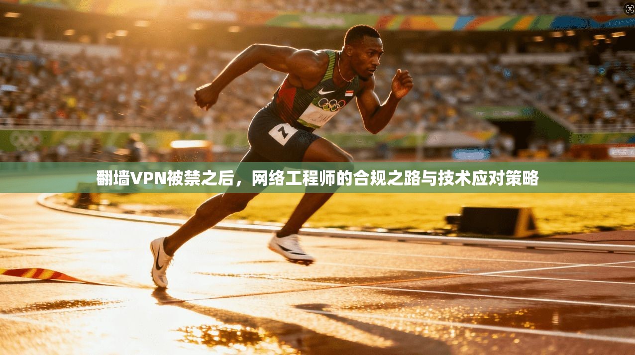 翻墙VPN被禁之后,网络工程师的合规之路与技术应对策略 第1张 翻墙VPN被禁之后,网络工程师的合规之路与技术应对策略 第1张