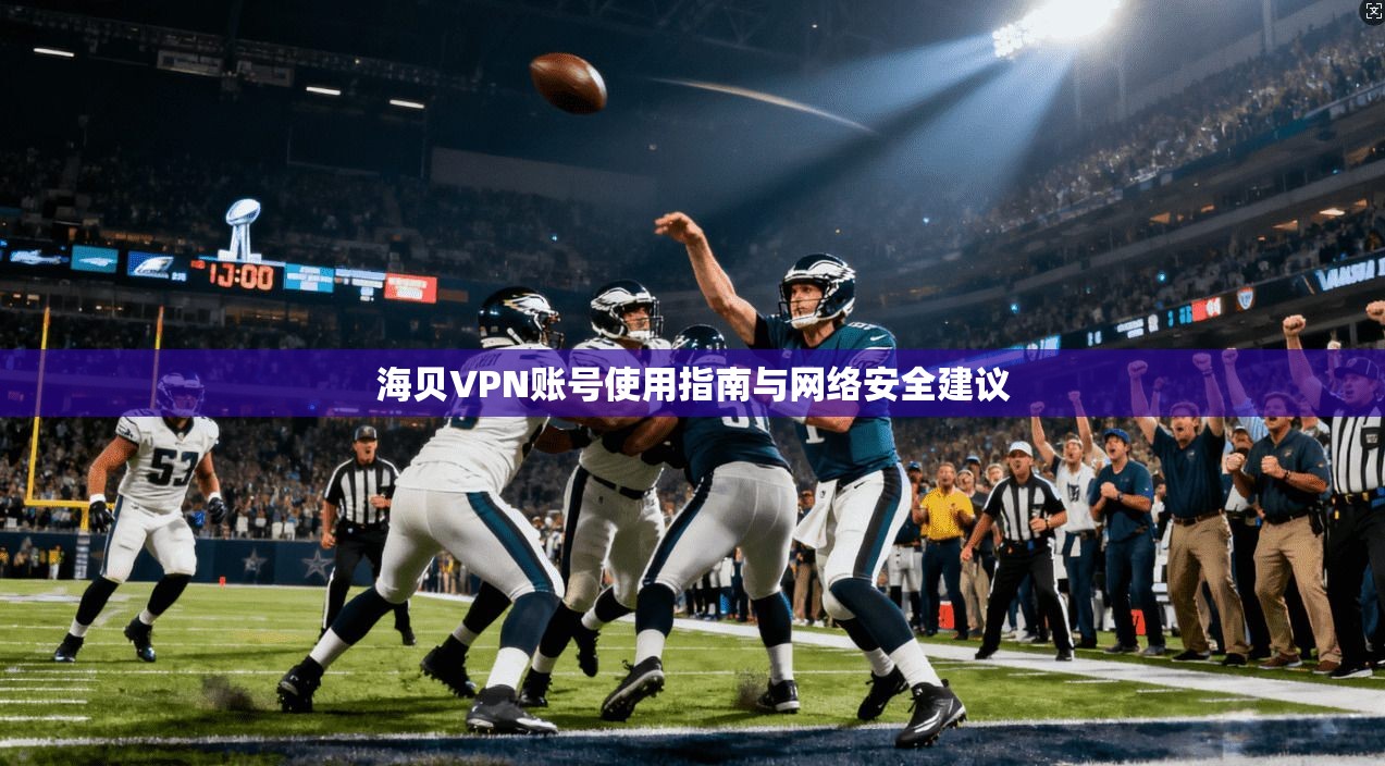 海贝VPN账号使用指南与网络安全建议  第1张