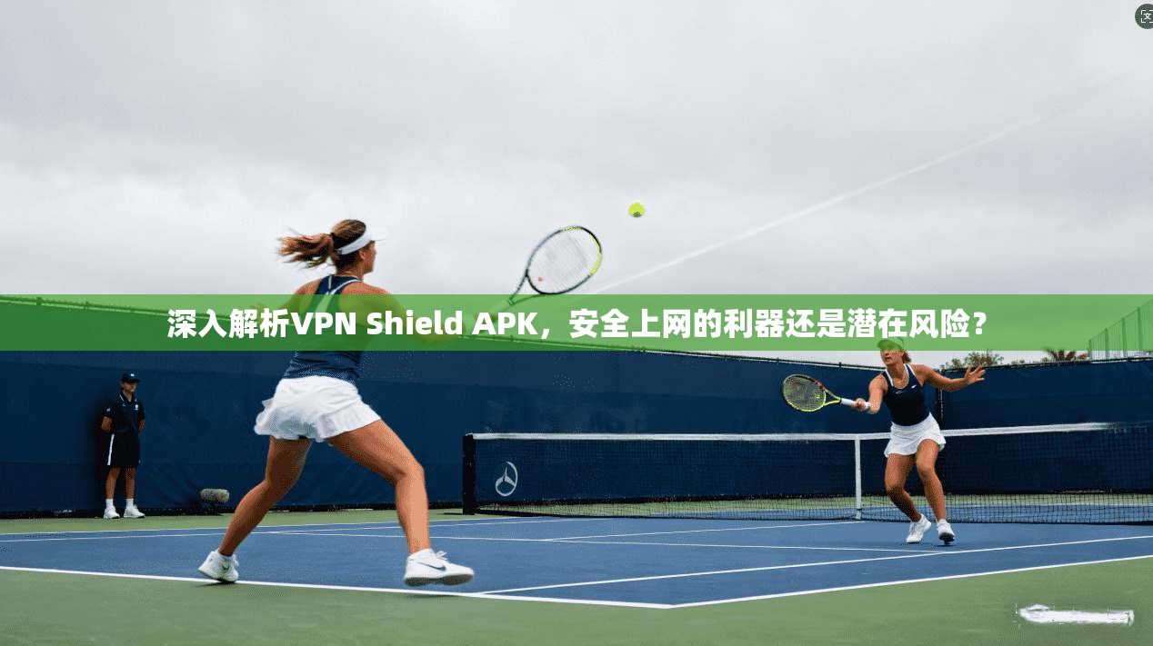 深入解析VPN Shield APK，安全上网的利器还是潜在风险？  第1张
