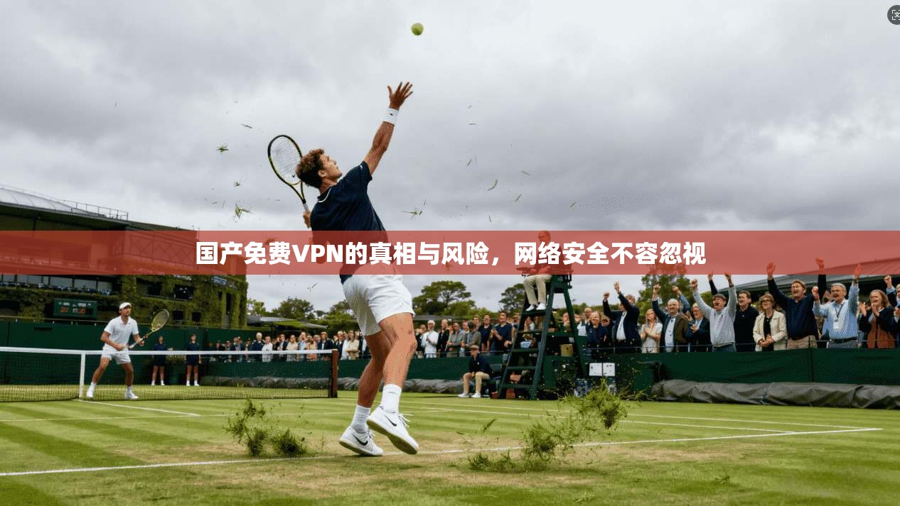 国产免费VPN的真相与风险,网络安全不容忽视 第1张 国产免费VPN的真相与风险,网络安全不容忽视 第1张