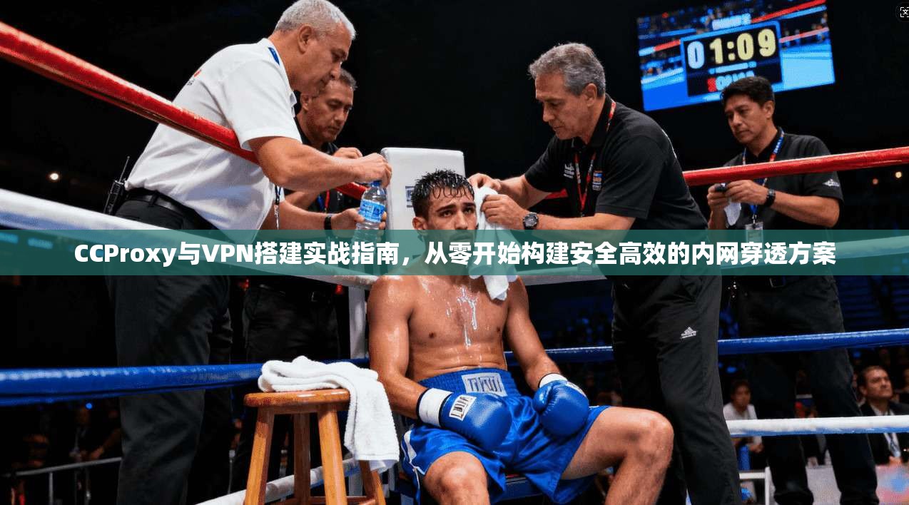 CCProxy与VPN搭建实战指南，从零开始构建安全高效的内网穿透方案  第1张