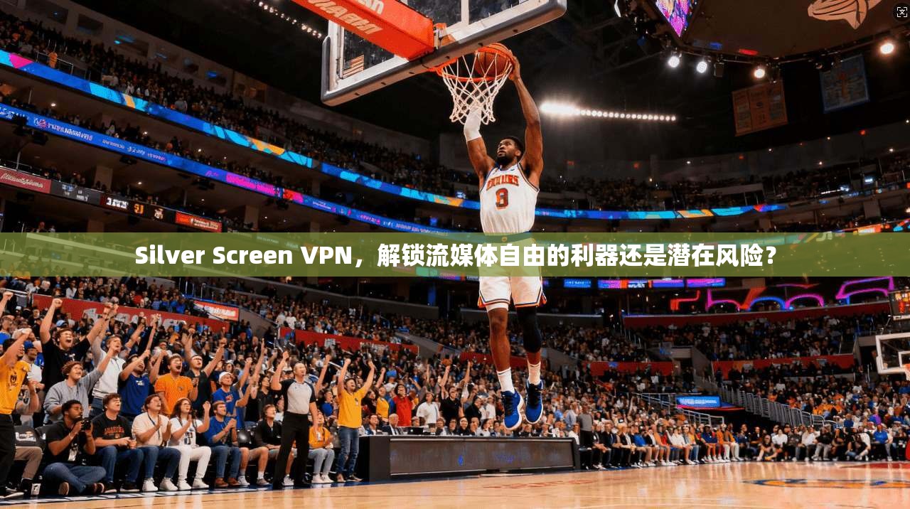 Silver Screen VPN,解锁流媒体自由的利器还是潜在风险? 第1张 Silver Screen VPN,解锁流媒体自由的利器还是潜在风险? 第1张