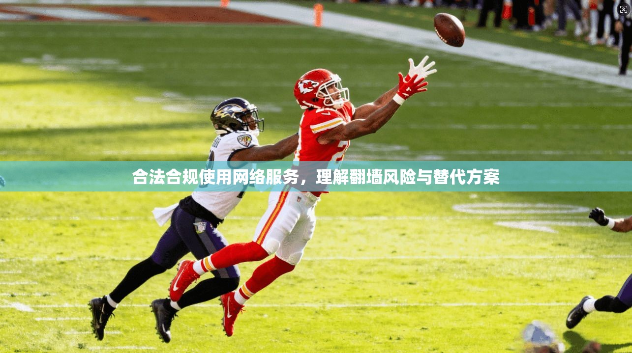 合法合规使用网络服务，理解翻墙风险与替代方案  第1张