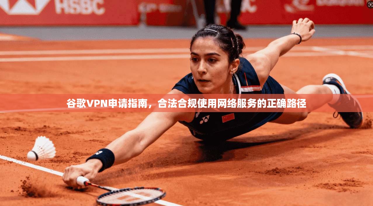 谷歌VPN申请指南，合法合规使用网络服务的正确路径  第1张