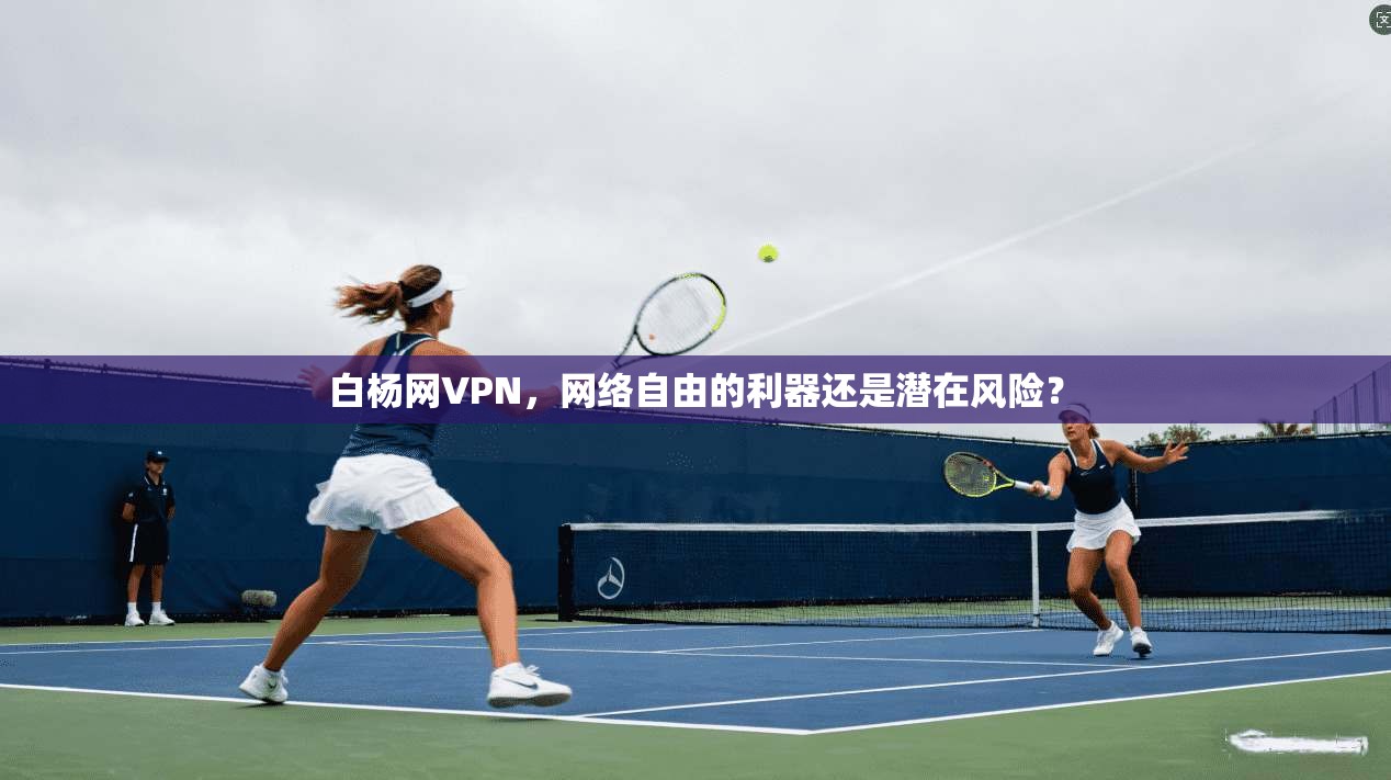 白杨网VPN，网络自由的利器还是潜在风险？  第1张