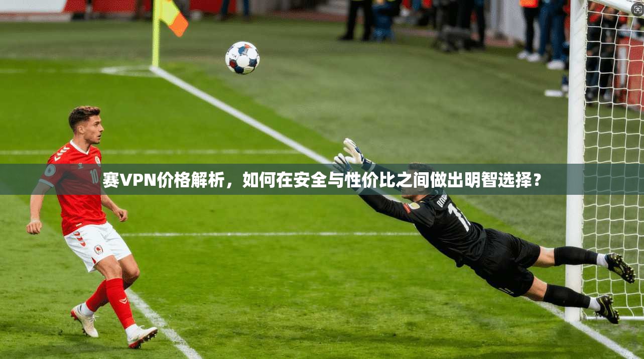 赛VPN价格解析，如何在安全与性价比之间做出明智选择？  第1张