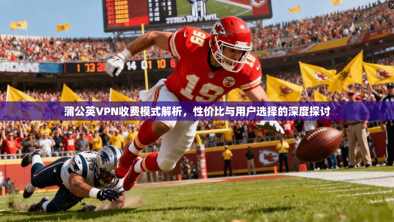 蒲公英VPN收费模式解析，性价比与用户选择的深度探讨  第1张