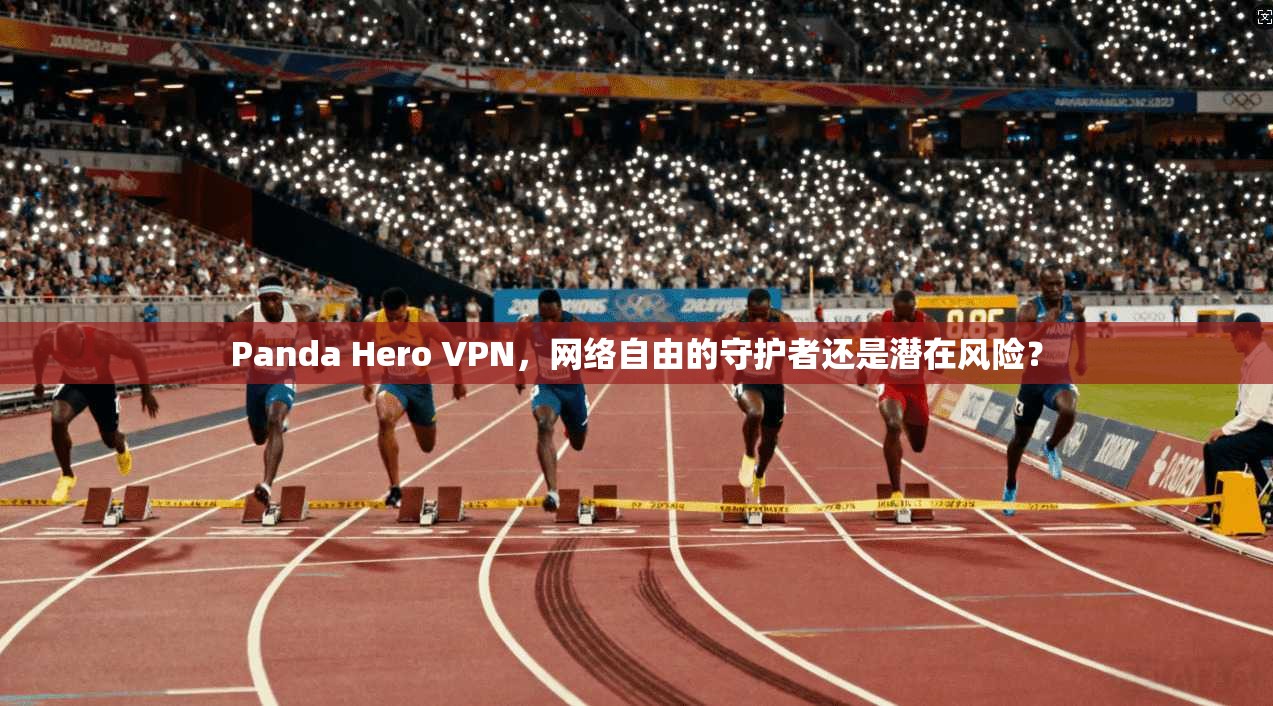 Panda Hero VPN，网络自由的守护者还是潜在风险？  第1张