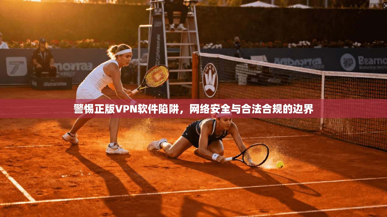 警惕正版VPN软件陷阱，网络安全与合法合规的边界  第1张