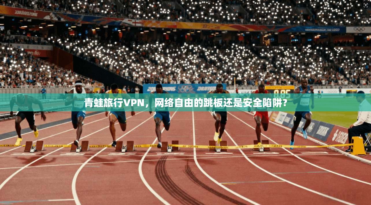 青蛙旅行VPN，网络自由的跳板还是安全陷阱？  第1张