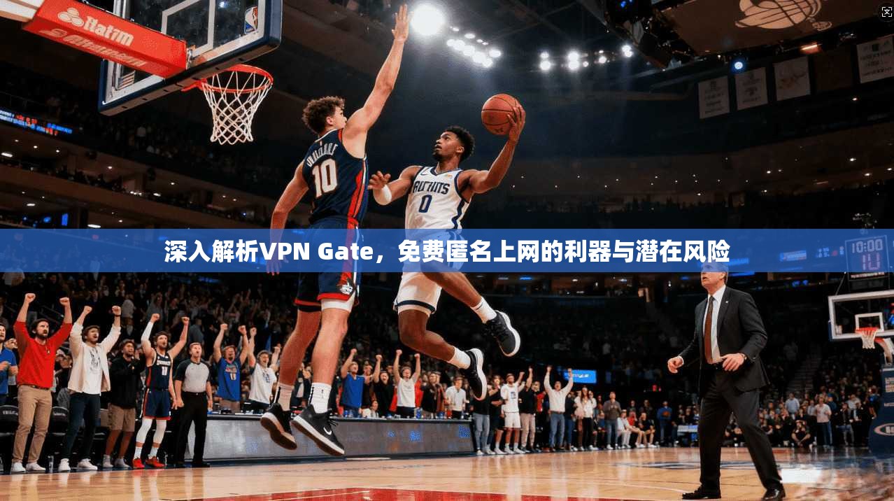 深入解析VPN Gate，免费匿名上网的利器与潜在风险  第1张