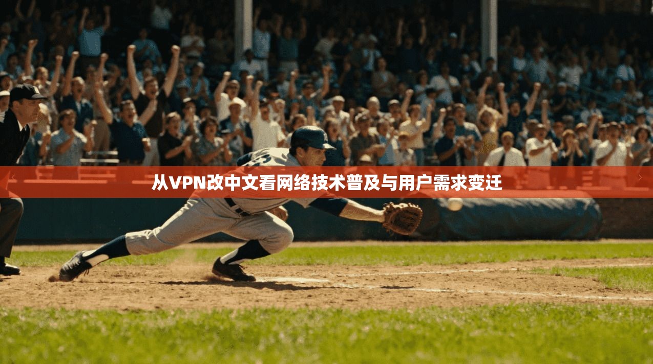 从VPN改中文看网络技术普及与用户需求变迁  第1张