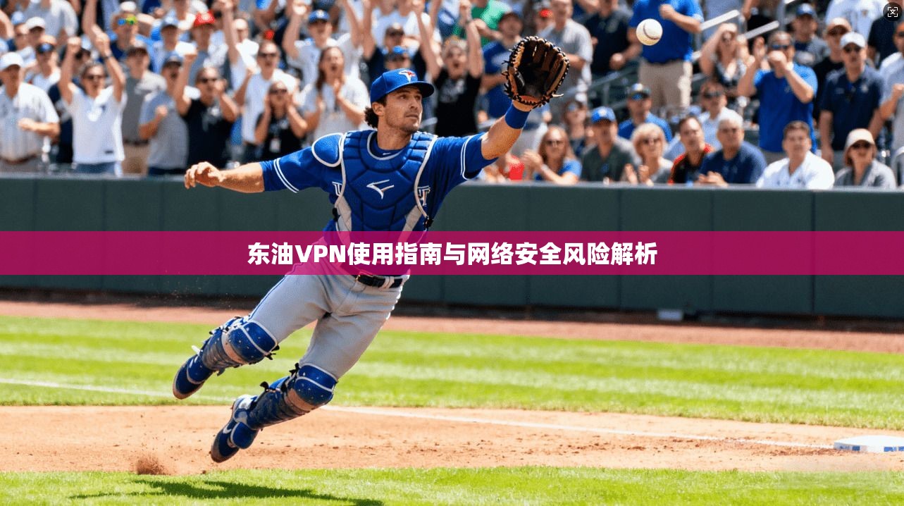 东油VPN使用指南与网络安全风险解析  第1张