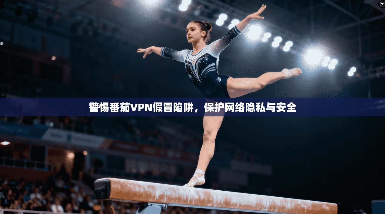 警惕番茄VPN假冒陷阱，保护网络隐私与安全  第1张