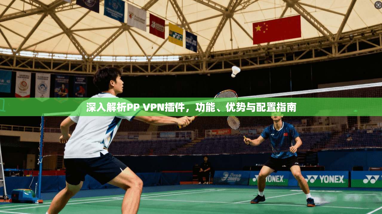 深入解析PP VPN插件，功能、优势与配置指南  第1张