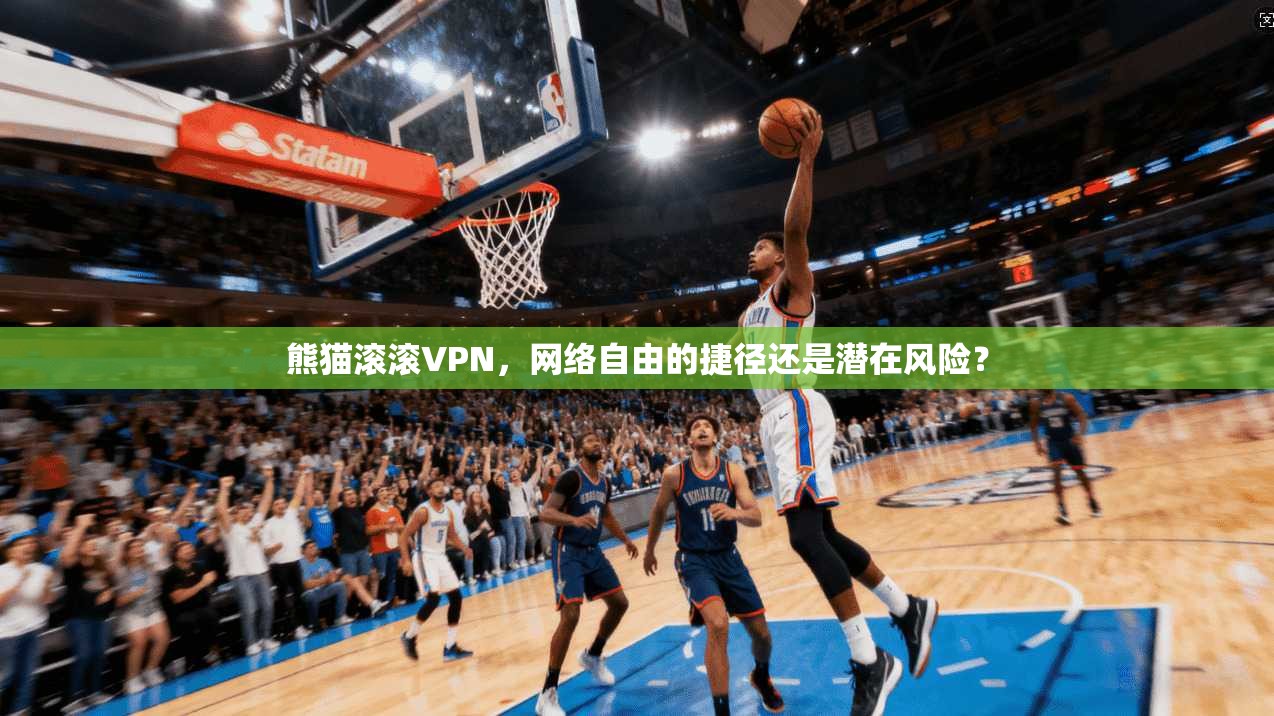 熊猫滚滚VPN，网络自由的捷径还是潜在风险？  第1张