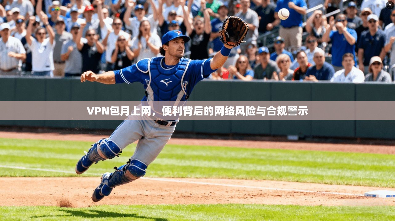VPN包月上网,便利背后的网络风险与合规警示 第1张 VPN包月上网,便利背后的网络风险与合规警示 第1张