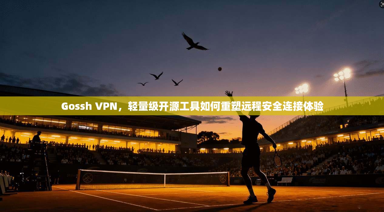 Gossh VPN，轻量级开源工具如何重塑远程安全连接体验  第1张