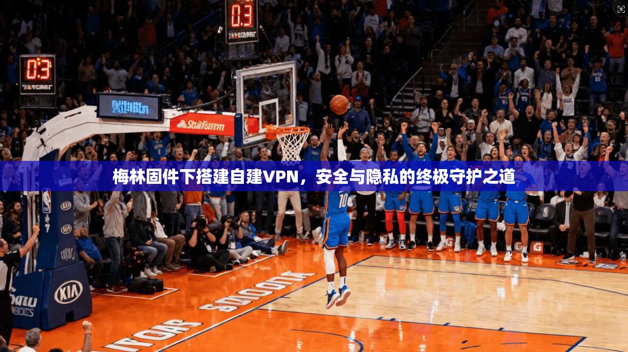 梅林固件下搭建自建VPN,安全与隐私的终极守护之道 第1张 梅林固件下搭建自建VPN,安全与隐私的终极守护之道 第1张