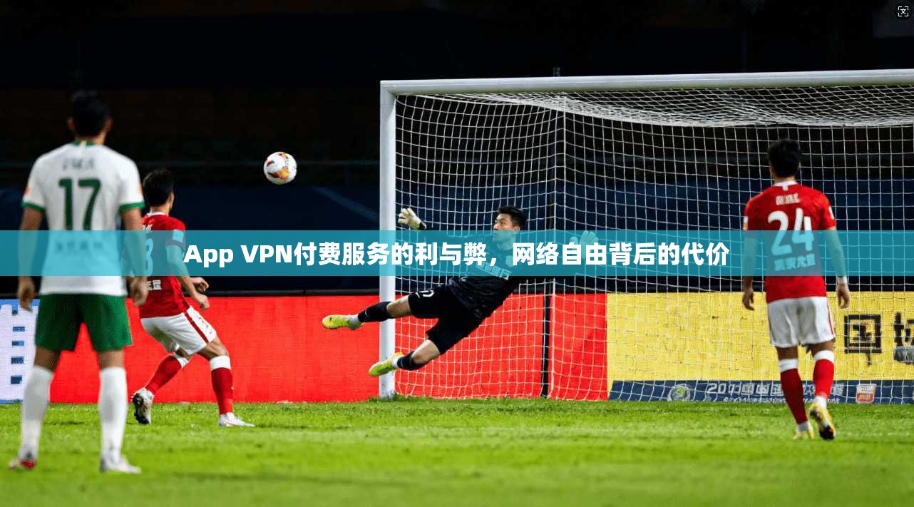 App VPN付费服务的利与弊，网络自由背后的代价  第1张
