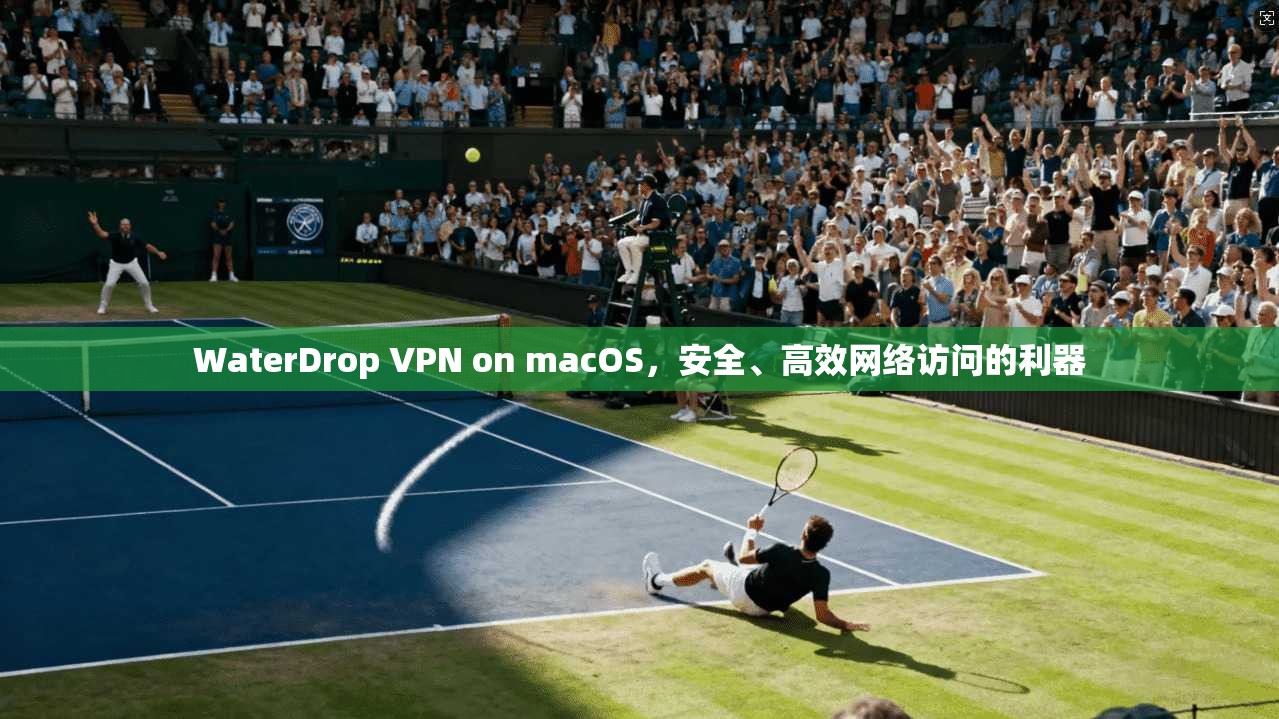 WaterDrop VPN on macOS，安全、高效网络访问的利器  第1张