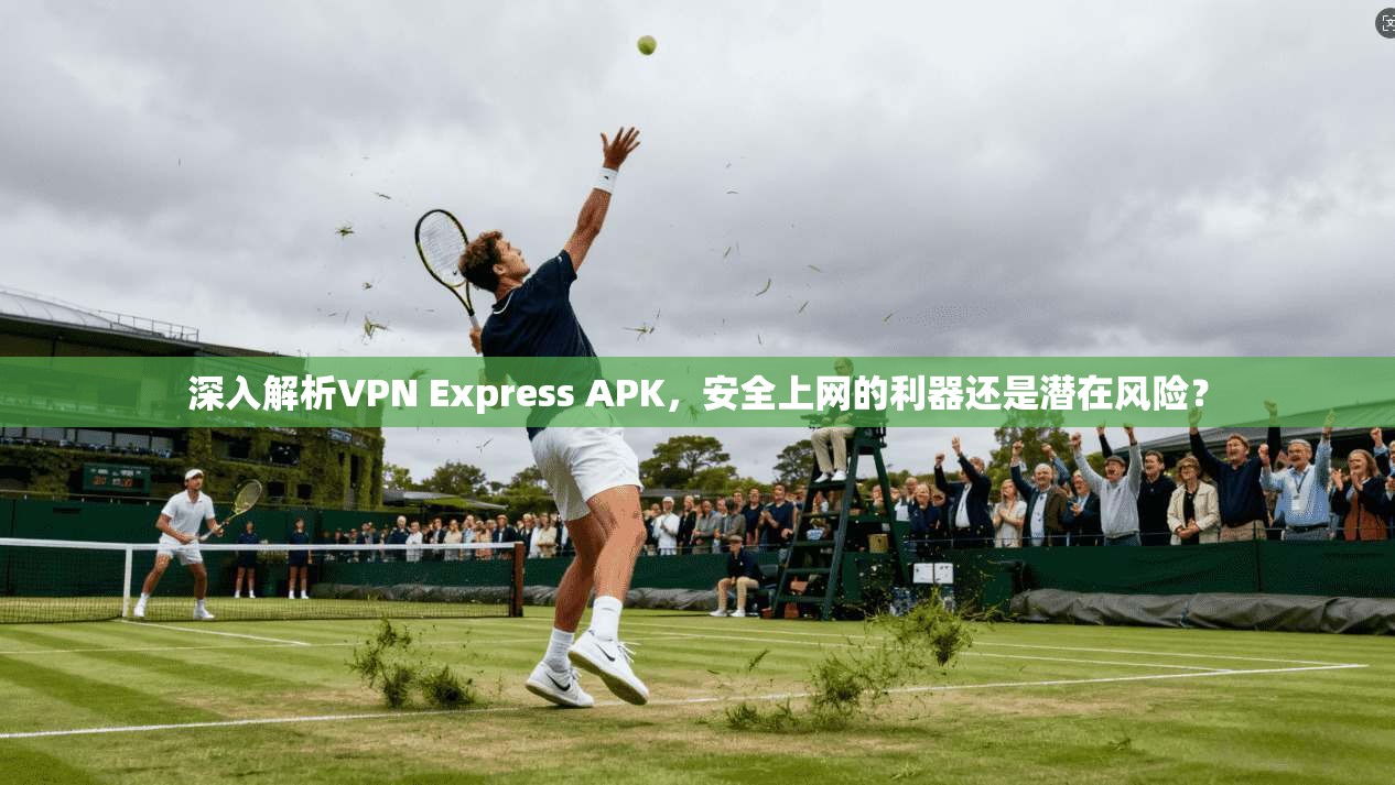 深入解析VPN Express APK,安全上网的利器还是潜在风险? 第1张 深入解析VPN Express APK,安全上网的利器还是潜在风险? 第1张