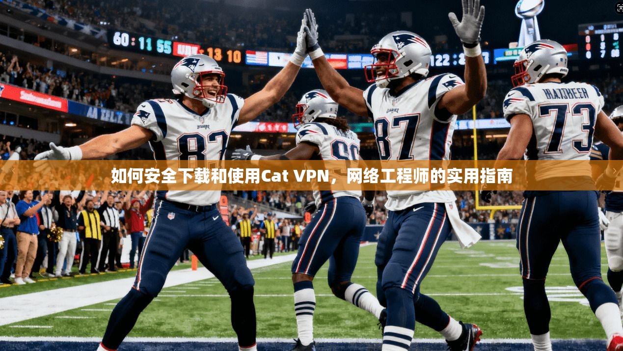 如何安全下载和使用Cat VPN，网络工程师的实用指南  第1张