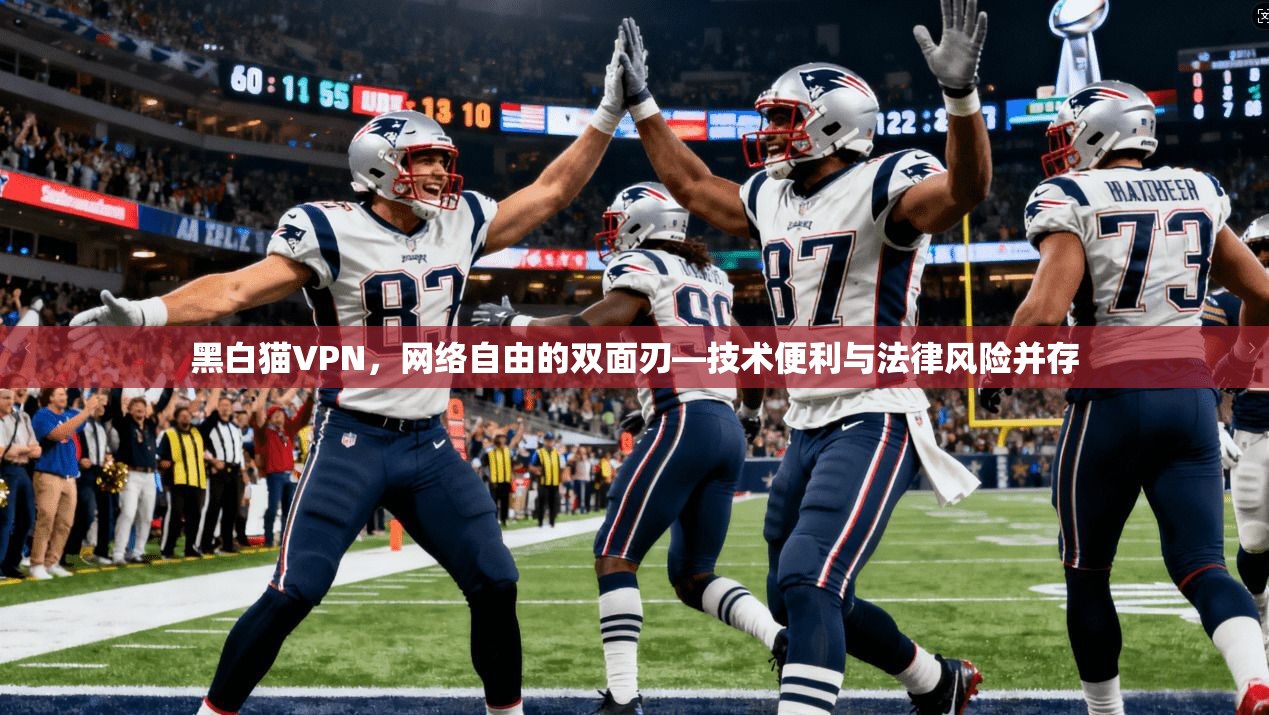 黑白猫VPN，网络自由的双面刃—技术便利与法律风险并存  第1张