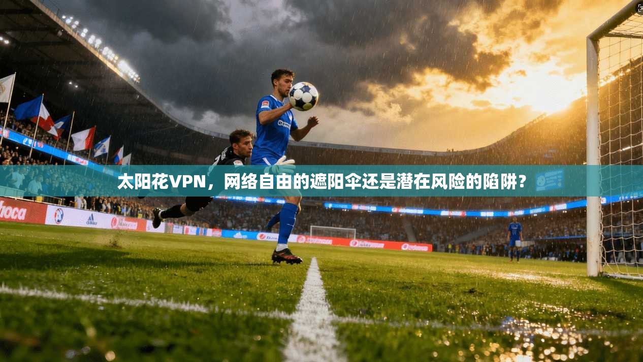 太阳花VPN，网络自由的遮阳伞还是潜在风险的陷阱？  第1张