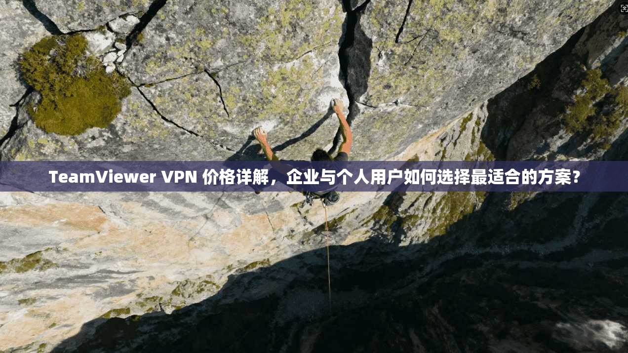TeamViewer VPN 价格详解,企业与个人用户如何选择最适合的方案? 第1张 TeamViewer VPN 价格详解,企业与个人用户如何选择最适合的方案? 第1张