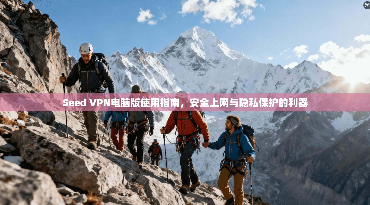 Seed VPN电脑版使用指南，安全上网与隐私保护的利器  第1张