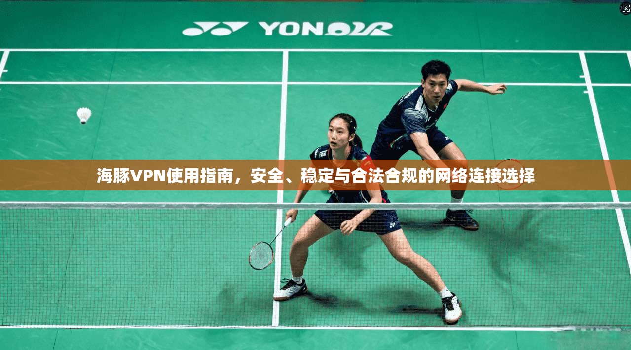 海豚VPN使用指南,安全、稳定与合法合规的网络连接选择 第1张 海豚VPN使用指南,安全、稳定与合法合规的网络连接选择 第1张