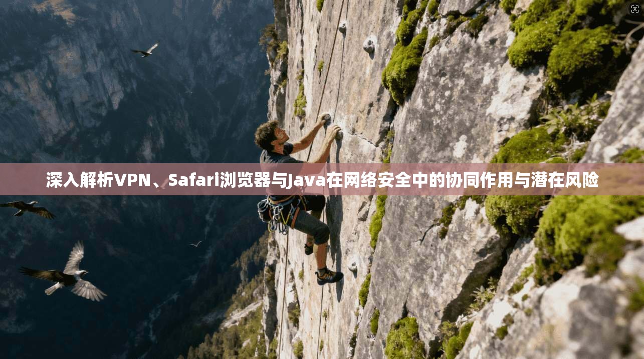 深入解析VPN、Safari浏览器与Java在网络安全中的协同作用与潜在风险  第1张