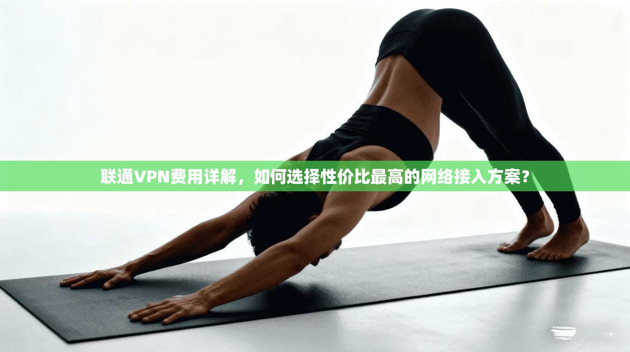 联通VPN费用详解，如何选择性价比最高的网络接入方案？  第1张