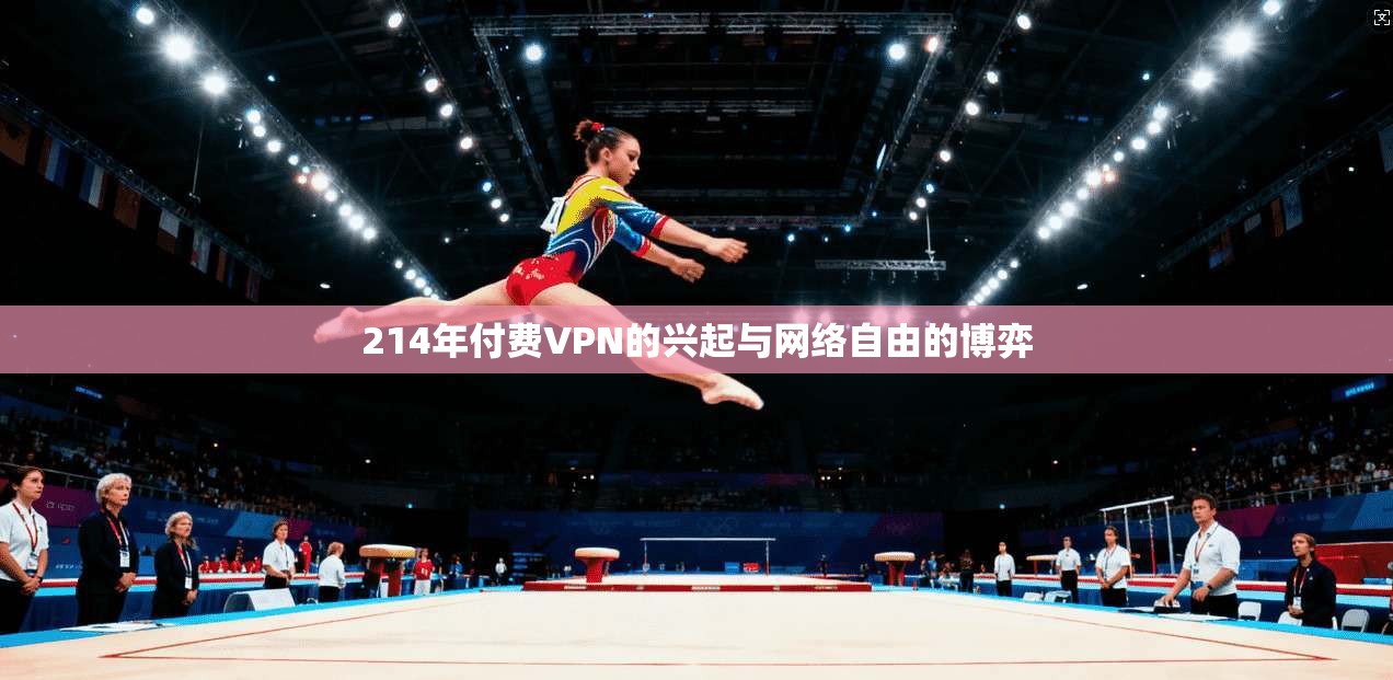 214年付费VPN的兴起与网络自由的博弈  第1张