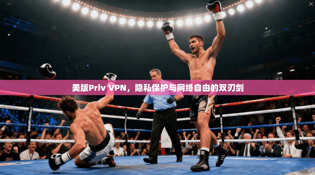 美版Priv VPN，隐私保护与网络自由的双刃剑  第1张