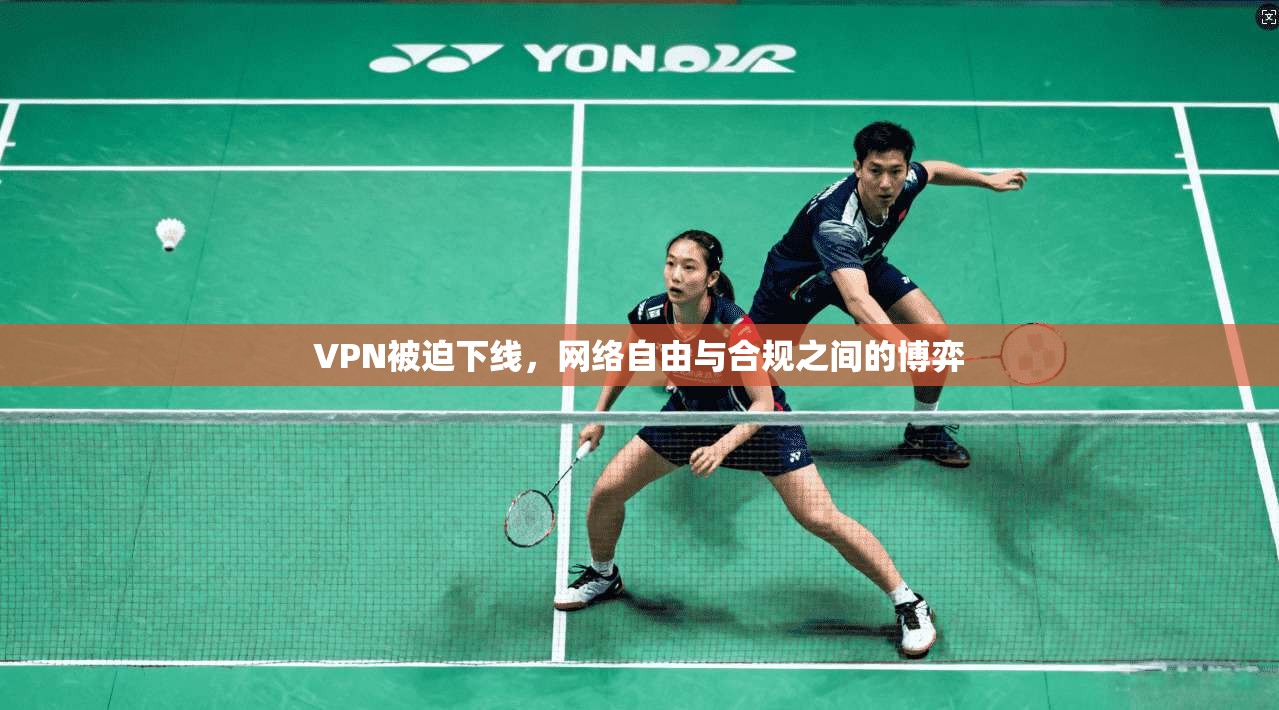 VPN被迫下线，网络自由与合规之间的博弈  第1张