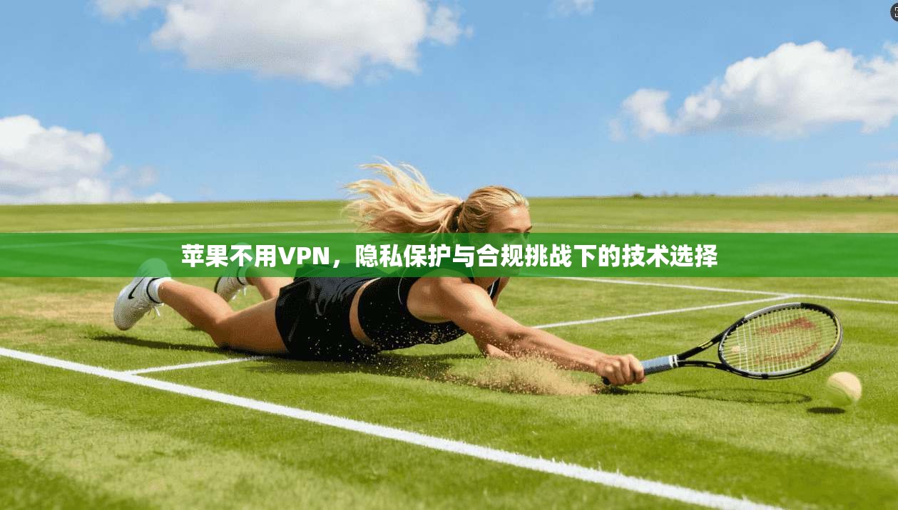 苹果不用VPN，隐私保护与合规挑战下的技术选择  第1张