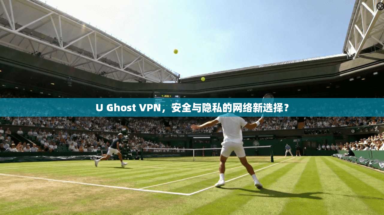 U Ghost VPN，安全与隐私的网络新选择？  第1张