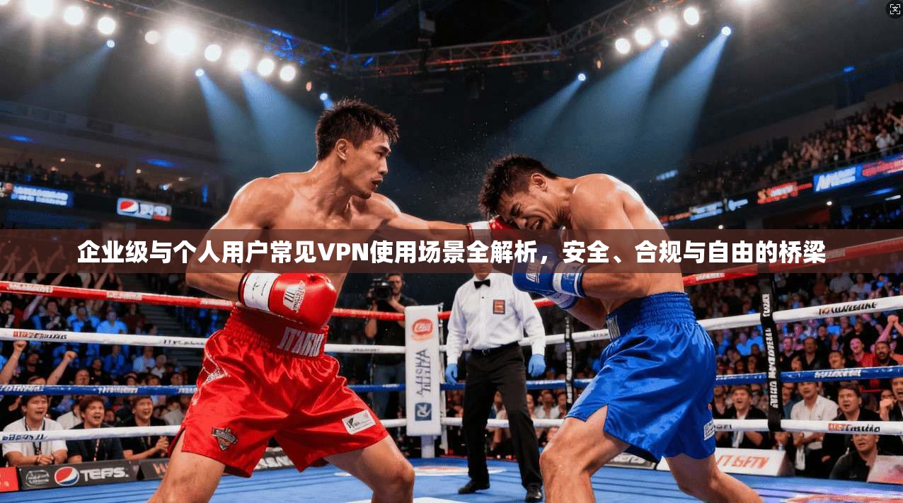 企业级与个人用户常见VPN使用场景全解析，安全、合规与自由的桥梁  第1张