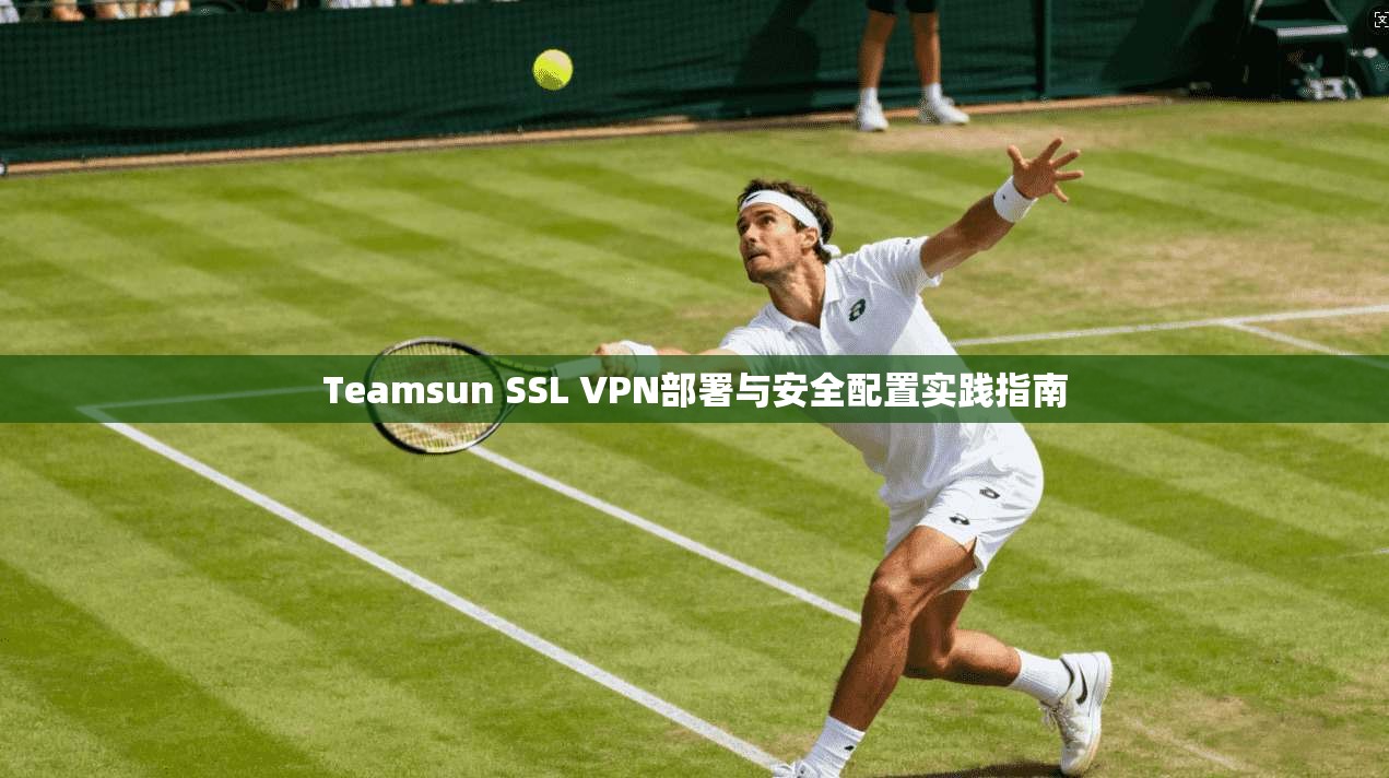 Teamsun SSL VPN部署与安全配置实践指南  第1张