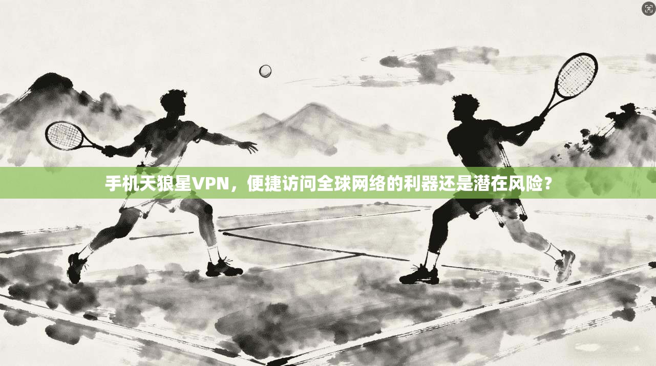 手机天狼星VPN,便捷访问全球网络的利器还是潜在风险? 第1张 手机天狼星VPN,便捷访问全球网络的利器还是潜在风险? 第1张