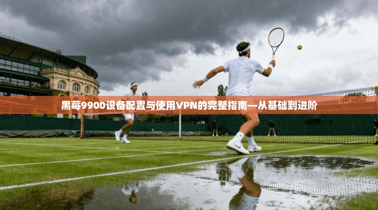 黑莓9900设备配置与使用VPN的完整指南—从基础到进阶  第1张