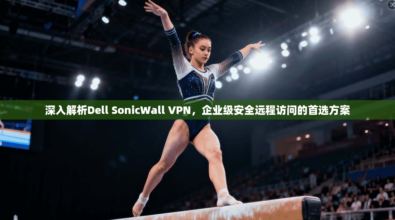 深入解析Dell SonicWall VPN,企业级安全远程访问的首选方案 第1张 深入解析Dell SonicWall VPN,企业级安全远程访问的首选方案 第1张