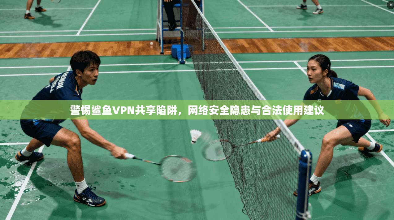 警惕鲨鱼VPN共享陷阱，网络安全隐患与合法使用建议  第1张