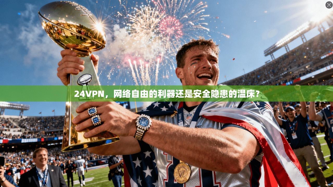 24VPN，网络自由的利器还是安全隐患的温床？  第1张