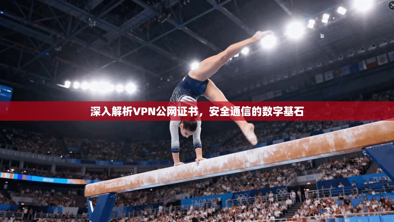 深入解析VPN公网证书，安全通信的数字基石  第1张
