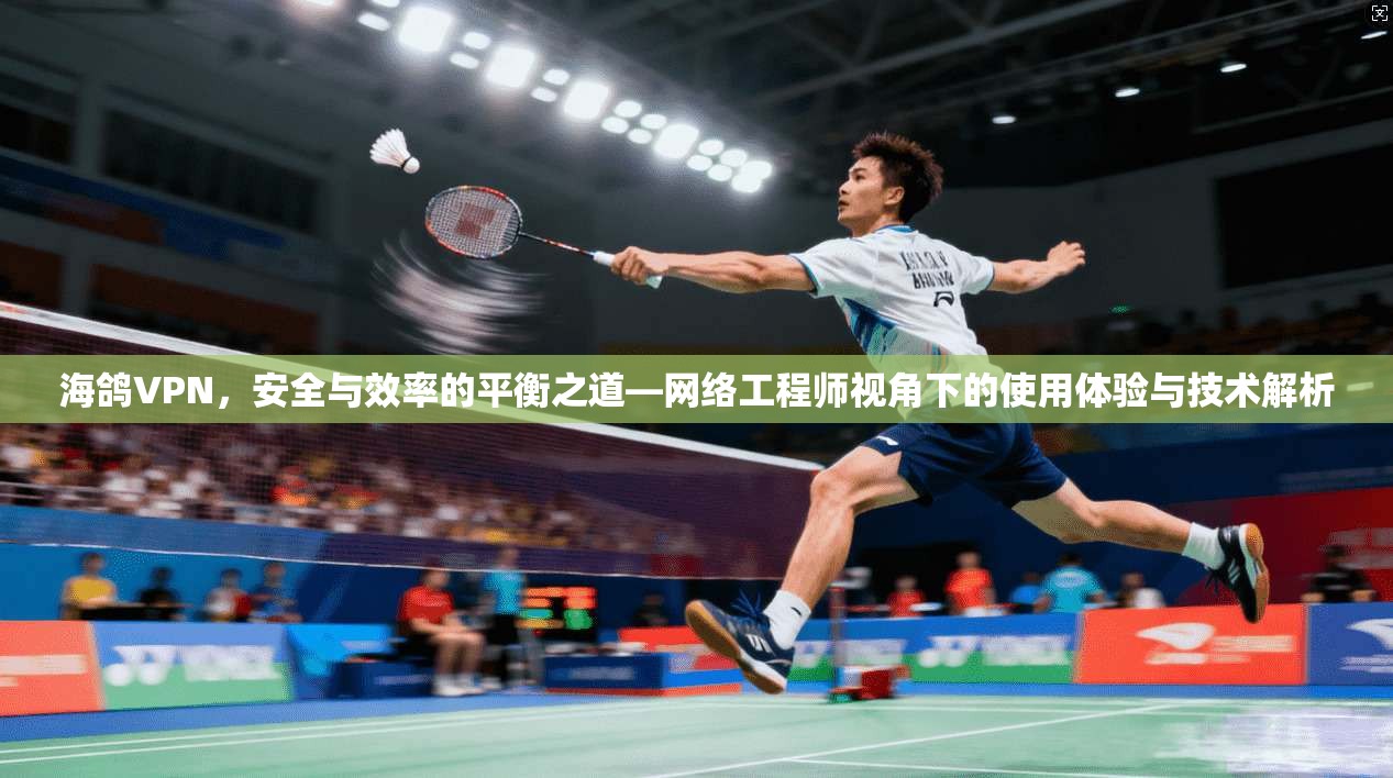 海鸽VPN,安全与效率的平衡之道—网络工程师视角下的使用体验与技术解析 第1张 海鸽VPN,安全与效率的平衡之道—网络工程师视角下的使用体验与技术解析 第1张